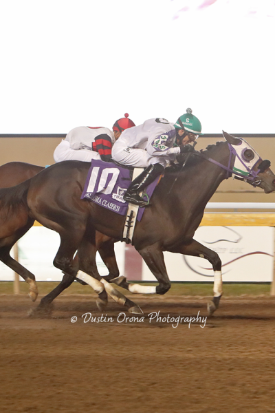 ELEGANT ECHO REMAINS UNDEFEATED, TAKING OKLAHOMA CLASSICS LASSIE FOR HER FIRST STAKES WIN