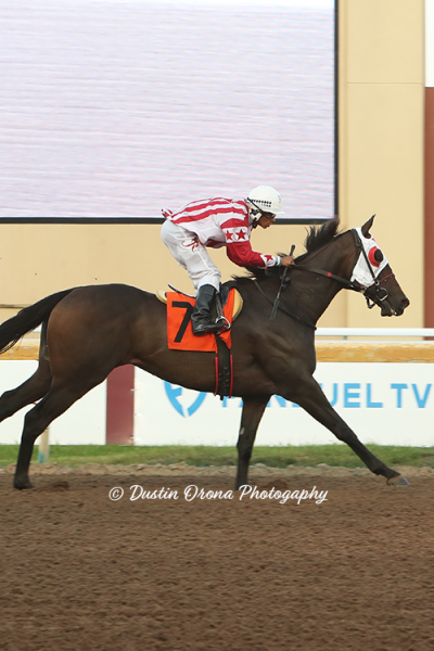 THE FIRST WALKOVER IN REMINGTON PARK HISTORY HANDLED BY HARD GOLD