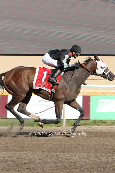HOLLY DOLLY BREAKS THROUGH FOR FIRST STAKES VICTORY, TAKING FLASHY LADY HANDICAP