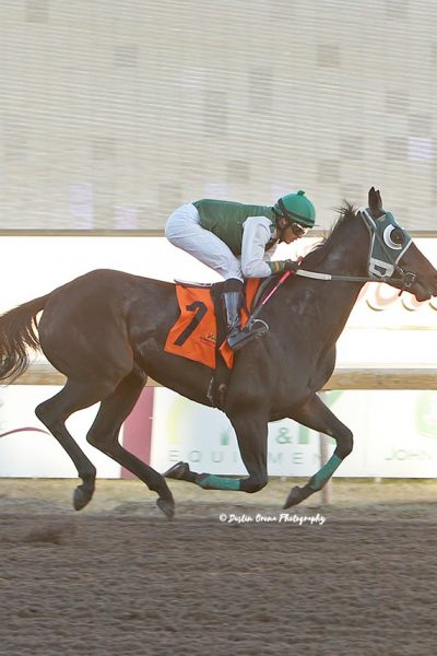 DA PRAIRIE GIRL FIRST TO TRACK AS REMINGTON PARK TRAINING STARTS