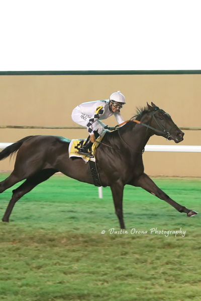 DARK AFTERNOON HAD SOME DARK NEWS FOR COMPETITION, DEFENDS HIS TITLE IN REMINGTON PARK TURF SPRINT STAKES