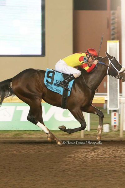 NATION’S FOURTH-LEADING TRAINER, BRAD COX, NOMINATES 12 HORSES TO REMINGTON PARK’S SPRINGBOARD MILE ON DEC. 17