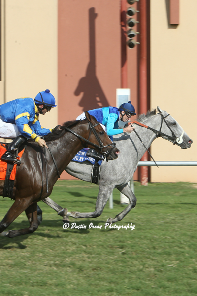 MINDY WILLIS ENJOYING A SUCCESSFUL REMINGTON PARK SEASON, A LONG WAY FROM RAKING OATS INTO HER DAD’S SHEDROW AS A LITTLE GIRL