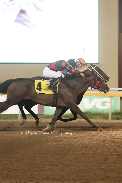 ARR PIRATETREASURE SCORES AT REMINGTON PARK ON NATIONAL TALK LIKE A PIRATE DAY