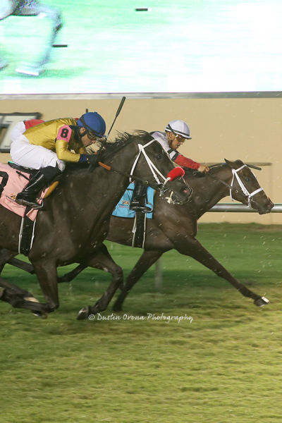 COLORS OF THE WIND RUNS LIKE THE WIND TO WIN FEATURED TURF ALLOWANCE AT REMINGTON PARK