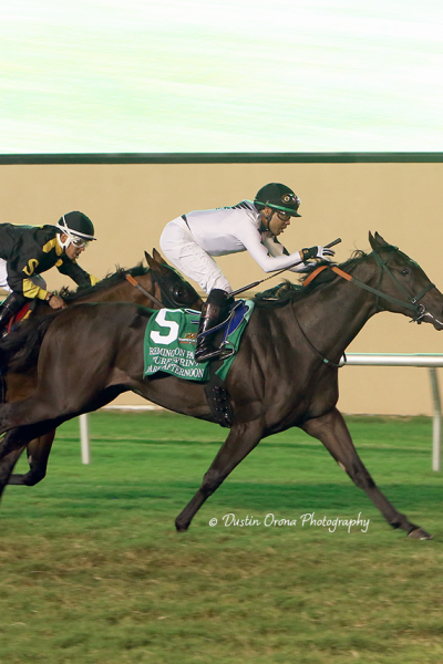 DARK AFTERNOON WILL DEFEND HIS TITLE IN $50,000 REMINGTON PARK TURF SPRINT ON FRIDAY, SEPT. 20