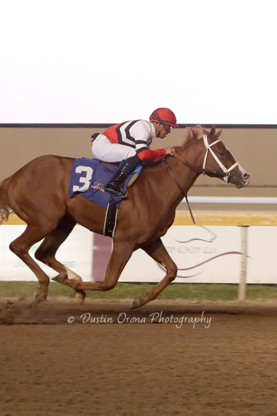 FINAL WORKOUT PREPS FOR SPRINGBOARD NIGHT STAKES RUNNERS FILLING REMINGTON PARK TAB