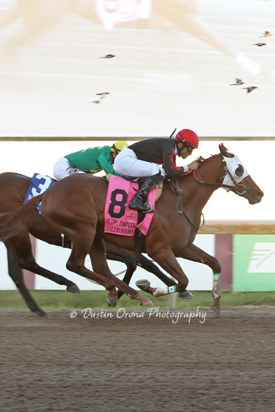 TRAINER DANNY PISH WINS HIS THIRD KIP DEVILLE STAKES WITH JOLLY SAMURAI, HORSE THAT DODGED TRAGEDY