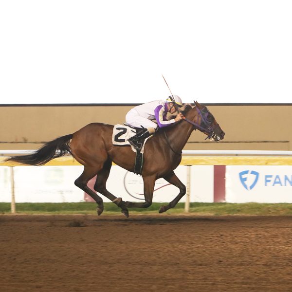 FIVE REMINGTON PARK JOCKEYS POST RIDING DOUBLES FRIDAY NIGHT