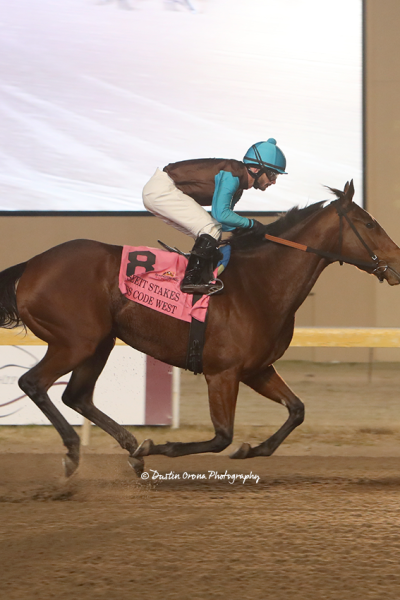 MISS CODE WEST CRUISES TO EASY VICTORY IN USEEIT STAKES AT REMINGTON PARK