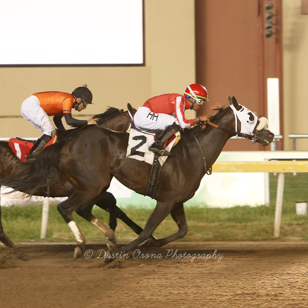 HOLDEN THE LUTE DROPS IN CLASS, WINS FEATURED ALLOWANCE RACE IN TOUGH FIGHT AS HEAVY FAVORITE
