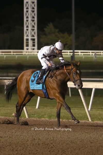 MULTIPLE STAKES WINNERS WORK IN PREPARATION FOR UPCOMING REMINGTON PARK SEASON