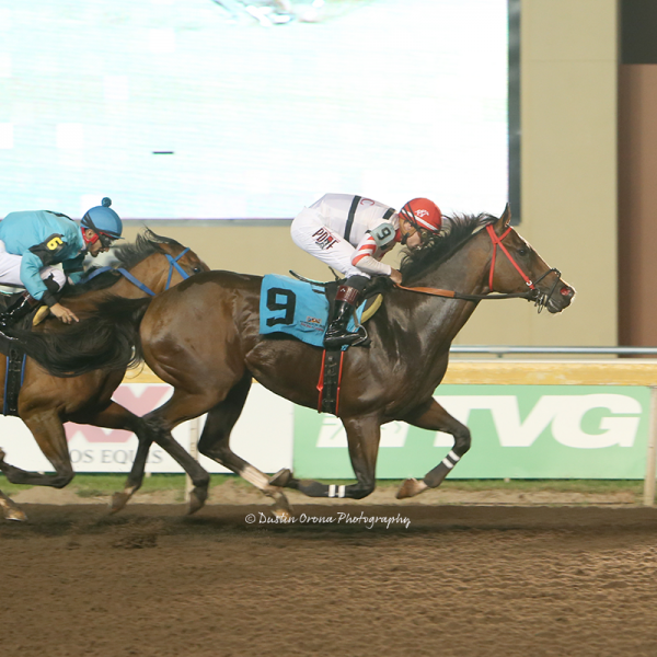 JOCKEY WESTON HAMILTON TRIPLES FRIDAY, ALL-TIME WINNINGEST REMINGTON PARK OWNER DANNY CALDWELL MOVES WITHIN ONE OF 400 WINS