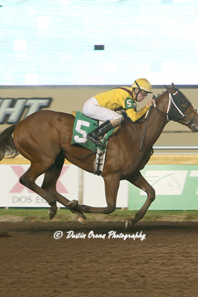 MILLION-DOLLAR HORSE RETURNS TO BLINKERS FOR TRAINER STEVE ASMUSSEN, RETURNS TO WINNER’S CIRCLE