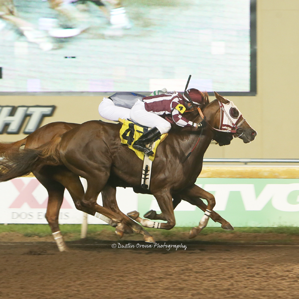SHADOWLESS PULLS UPSET OF REMINGTON PARK ALLOWANCE FEATURE AT 10-1 ODDS