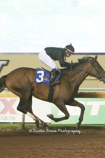 SHE’S ALL WOLFE CONTINUES HER DOMINANT WAYS ON REMINGTON PARK’S MAIN TRACK IN FEATURED ALLOWANCE RACE