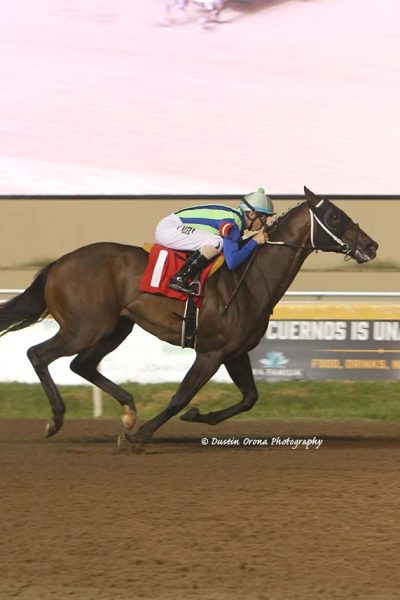 TRAINER STEVE ASMUSSEN, JOCKEY STEWART ELLIOTT RULE NIGHT WITH FOUR VICTORIES APIECE