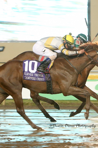 WILDATLANTICSTORM TURNS TABLES IN CLEVER TREVOR STAKES WIN ON STORMY WET NIGHT