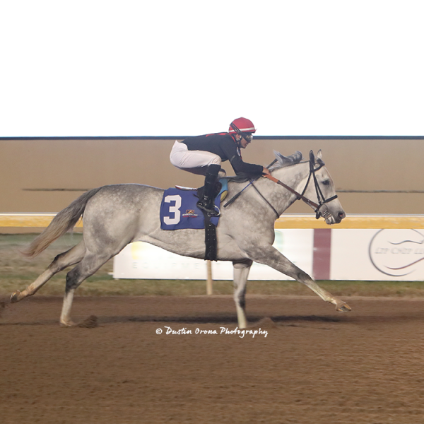 ASHFORD WORKS UNDEFEATED IT’S ALL RIGHT AT REMINGTON PARK