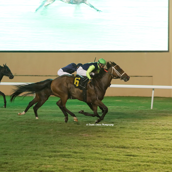 BROTHER REID FINDS OPEN ROOM FOR FEATURE SCORE AT REMINGTON PARK