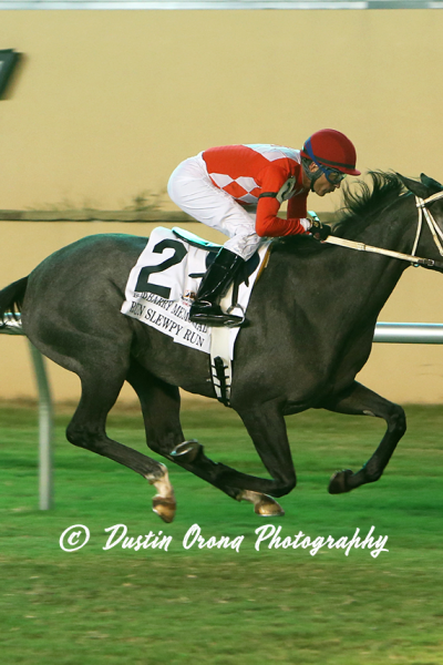 MULTIPLE STAKES WINNERS GET FIRST WORKOUTS OF MEET OUT OF NEW BARN