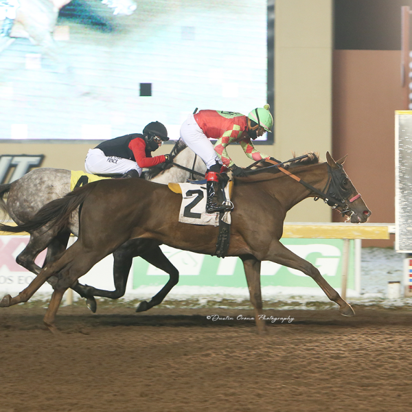 KARL BROBERG ENDS TWO WINNING STREAKS IN RACE FOR CHAMPION TRAINER, OWNER, CRISTIAN TORRES ALSO ENDS ANOTHER STREAK