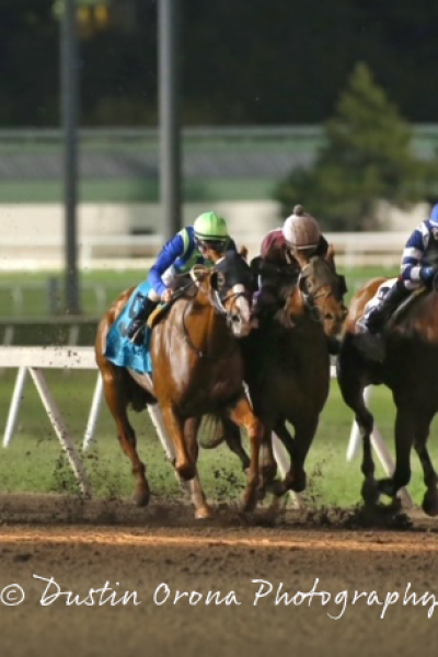 REMINGTON PARK BARN AREA OPENS FOR HORSEMAN, HORSES ARRIVE NEXT WEEK