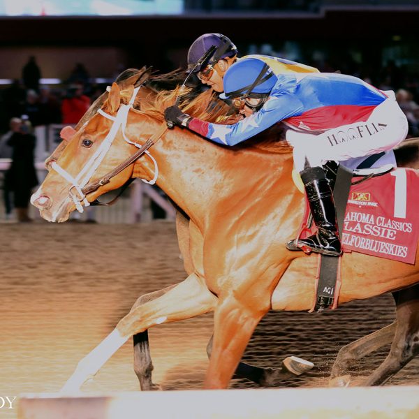 ANGELFORBLUESKIES GETS HEAD BOB OVER C W MISS, TO WIN OKLAHOMA CLASSICS LASSIE