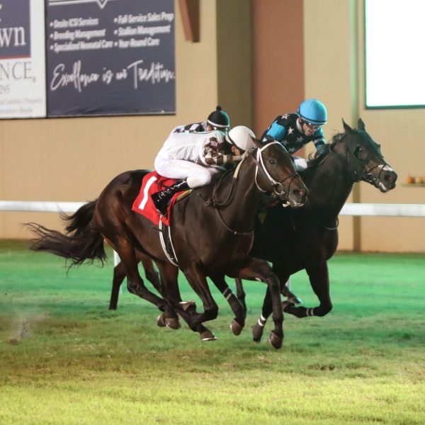 ASMUSSEN DUO GARNER BIG NIGHT WITH FOUR MORE WINNERS ON SATURDAY AT REMINGTON PARK