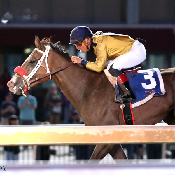 LONGEST SHOT BUCK PIE, WINS COLTS & GELDINGS DIVISION OF OKLAHOMA STALLION HANDICAP AT 57-1 ODDS