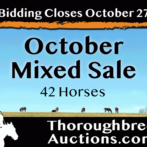 Regional Market Auctions for Breeders & Owners