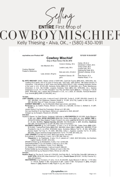 Cowboy Mischief Entire 1st Crop For Sale