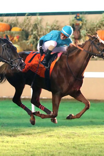 KILLA SALLY PULLS OFF UPSET, WINNING OKLAHOMA CLASSICS DISTAFF TURF AT REMINGTON PARK