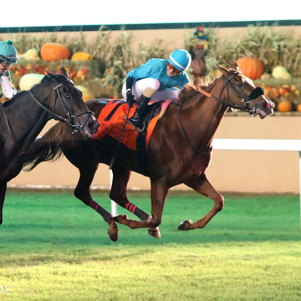 KILLA SALLY PULLS OFF UPSET, WINNING OKLAHOMA CLASSICS DISTAFF TURF AT REMINGTON PARK