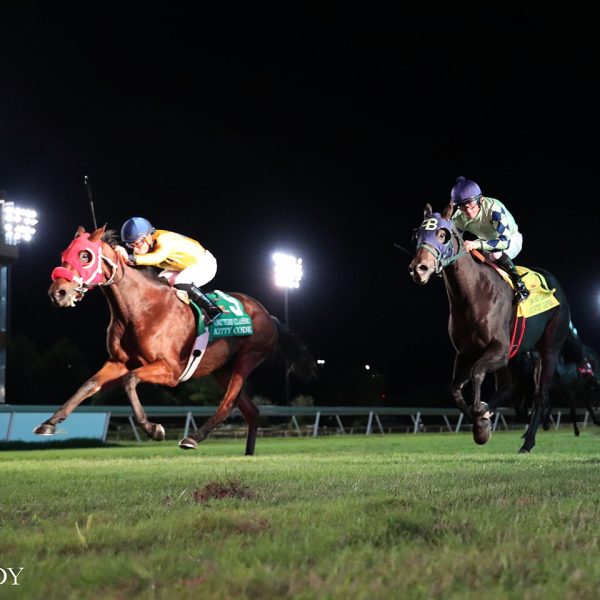 KITTY CODE SHOWS BLOODLINES RUN TRUE, WINNING OKC TURF CLASSIC HANDICAP AT REMINGTON PARK