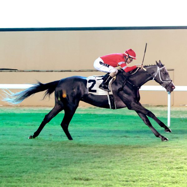 LA FANTASTICA WINS DECISIVELY AGAINST THREE-TIME REMINGTON PARK HORSE OF MEET MISS CODE WEST