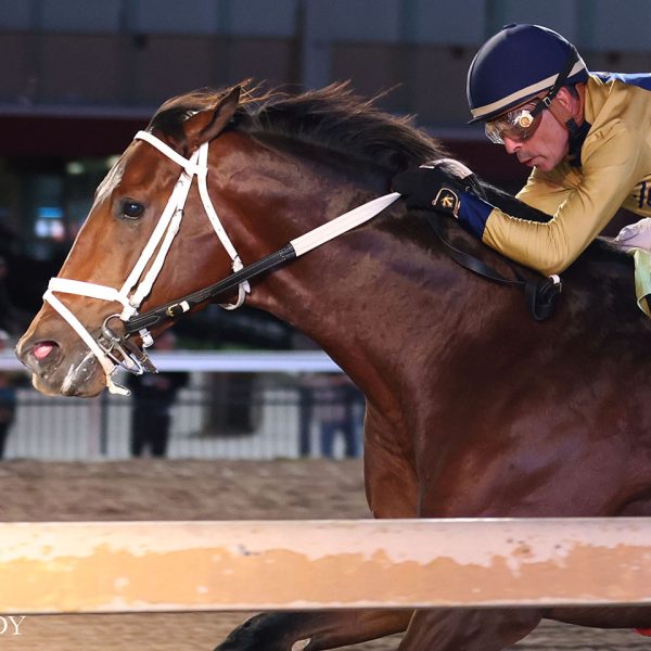 MISTER OMAHA RETURNS TO HIS TOP FORM, WINNING OKLAHOMA CLASSICS CUP UNDER JOCKEY LUIS QUINONEZ AT REMINGTON PARK