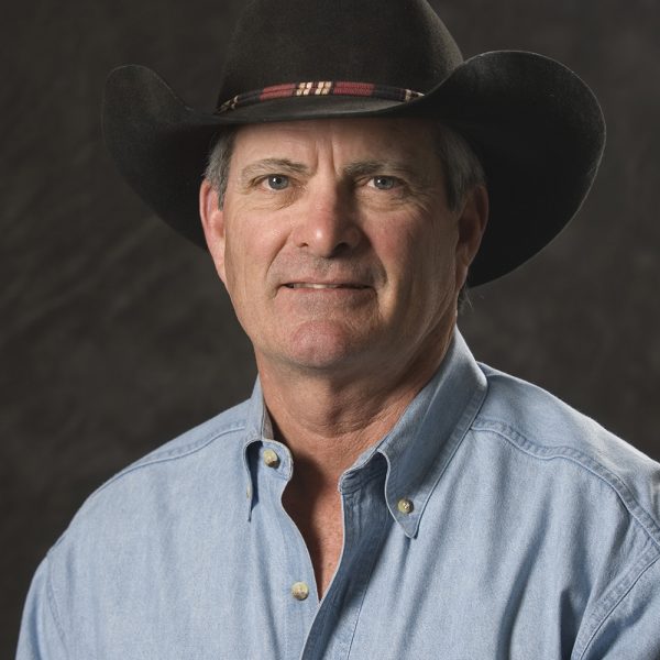 NEDRA NELL and CRAZY GRACIE – GET SHORT BULLET TIMES IN FIRST REMINGTON PARK OFFICIAL WORKS OF PRESEASON