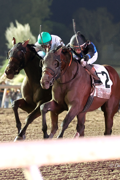 SILENT TACTIC WINS FIERCE BATTLE WITH ZIHNAL IN OKLAHOMA DERBY AT REMINGTON PARK
