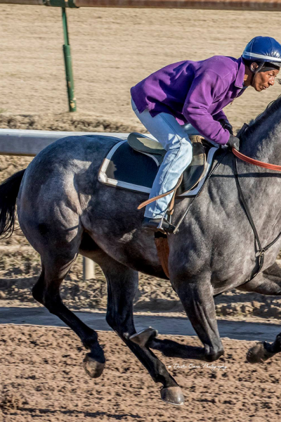 FORMER REMINGTON PARK JOCKEY LARRY TAYLOR RETURNS HOME AS TRAINER, ONE OF HIS OWNERS IS ALL-TIME OKC RIDER CLIFF BERRY
